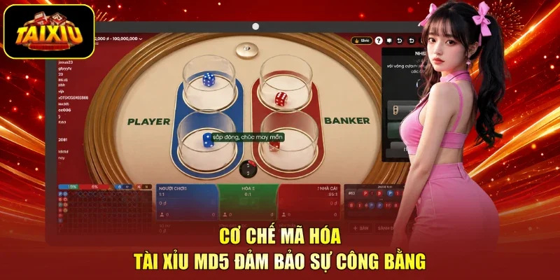 Cơ chế mã hóa tài xỉu MD5 đảm bảo sự công bằng