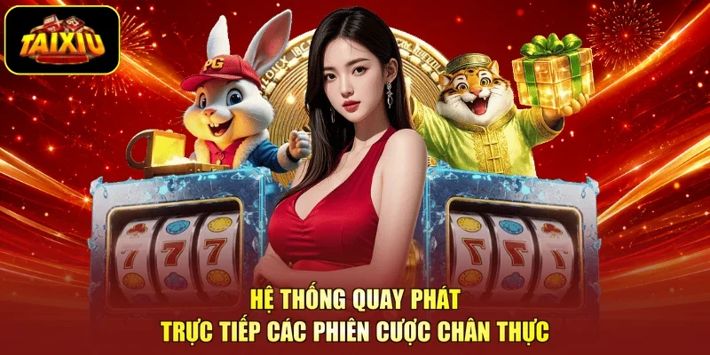Hệ thống quay phát trực tiếp các phiên cược chân thực