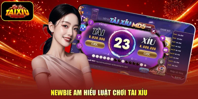 Newbie am hiểu luật chơi Tài Xỉu