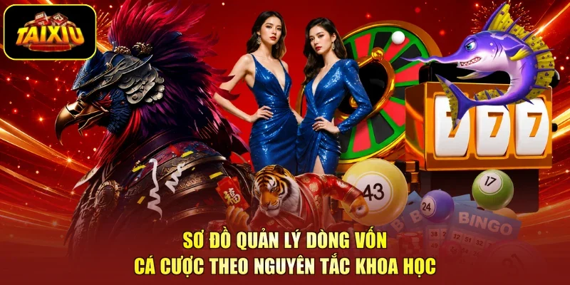 Sơ đồ quản lý dòng vốn cá cược theo nguyên tắc khoa học